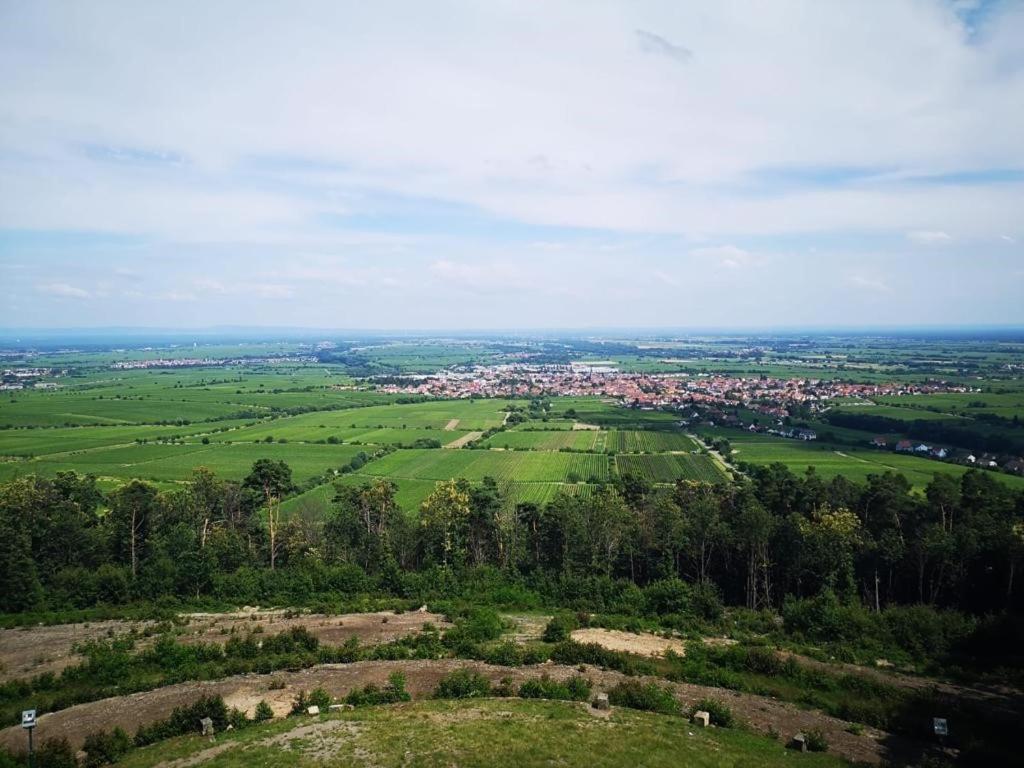 Neustadt an der Weinstraße Wohnen Im Herzen Der Pfalz מראה חיצוני תמונה